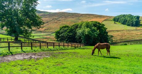 Adobestock 455052929 Preview