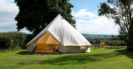 Adobestock 510392853 Preview